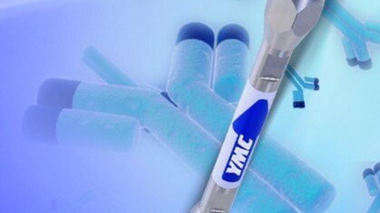 Generic Analyses of Different Monoclonal Antibodies with RP-(U)HPLC